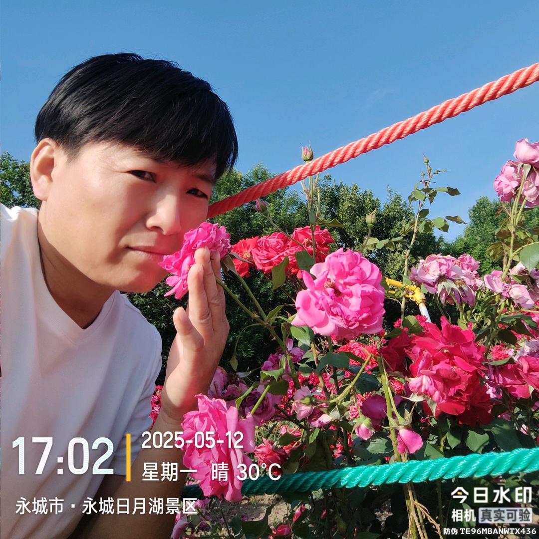 时光如梭。