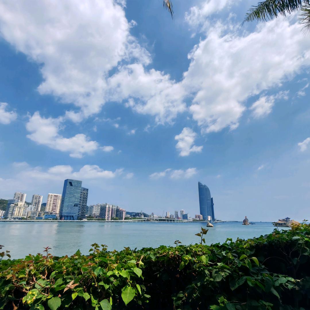 丢了什么的Mr蔡