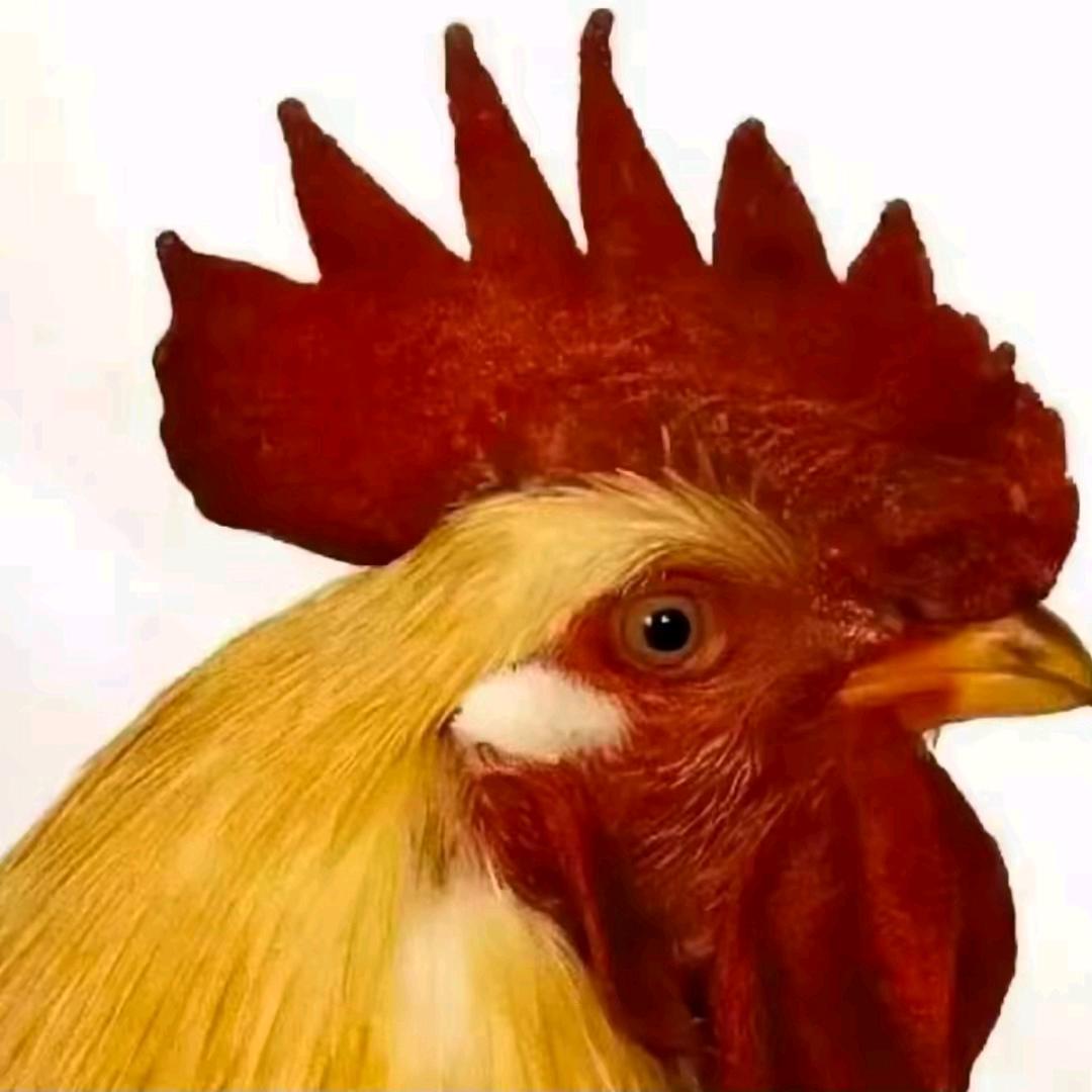 答卷人