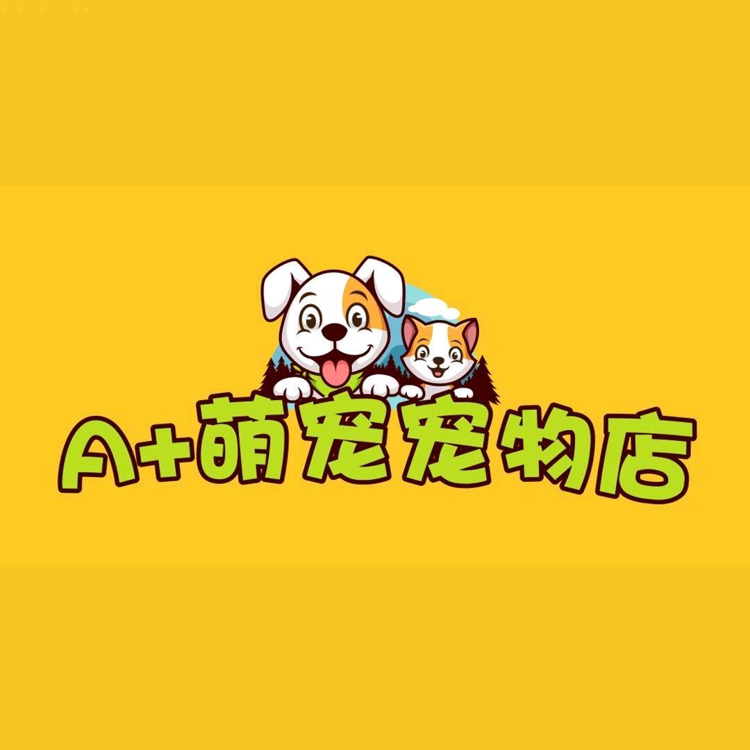 开宠物店的暴躁小张