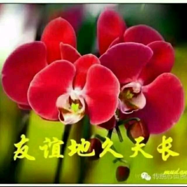 雨后彩虹:华