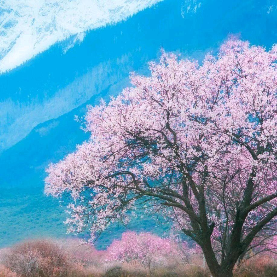 情缘