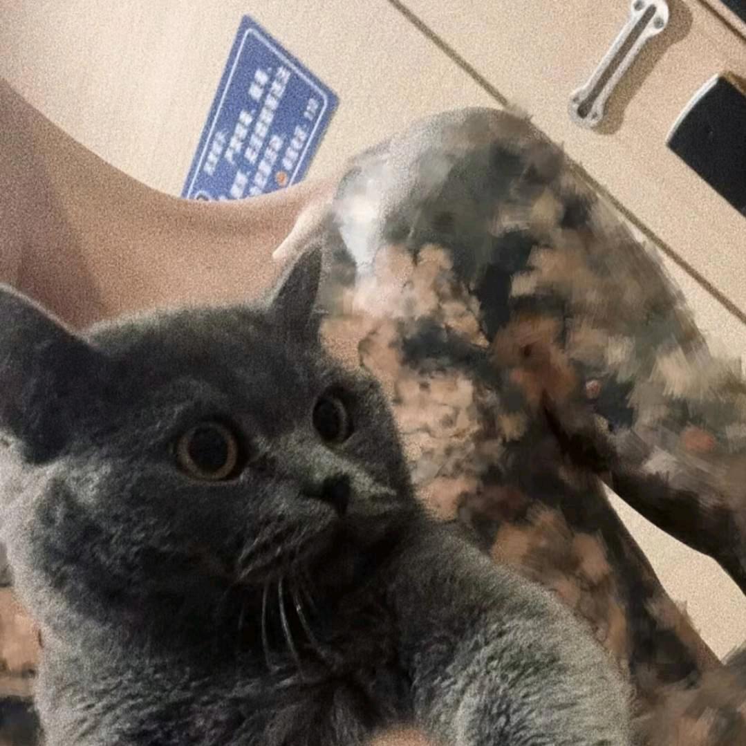 烂人