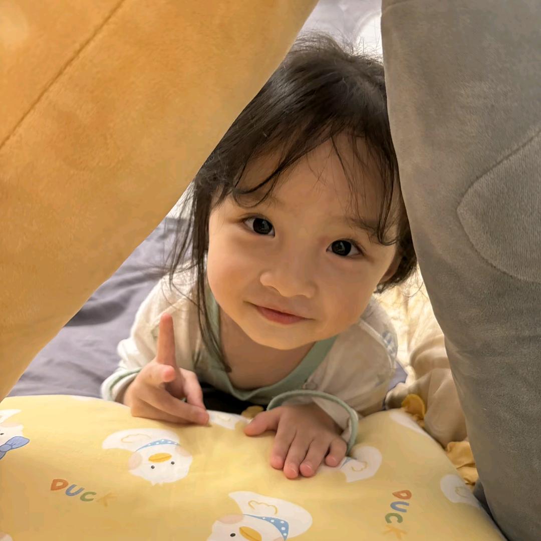 北极熊大战帝企鹅