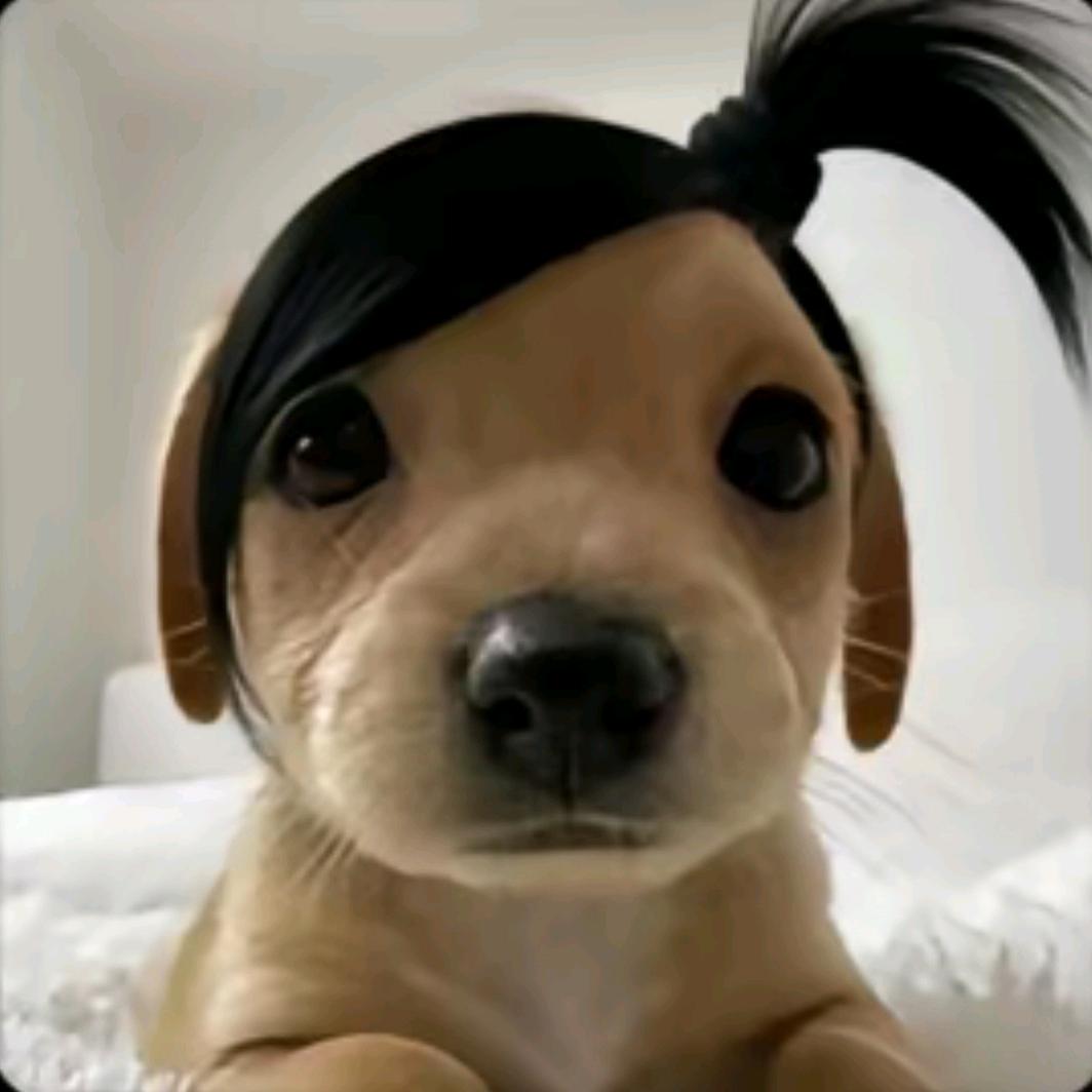 小Z萌萌冰