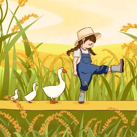 三只想飞的鸭子