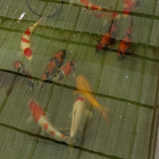 方圆百里唯我独尊