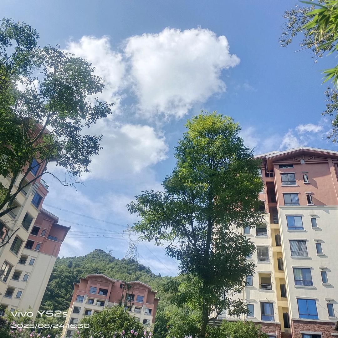 ˃ʍ˂搞钱(✧∇✧)要紧›´ω`‹