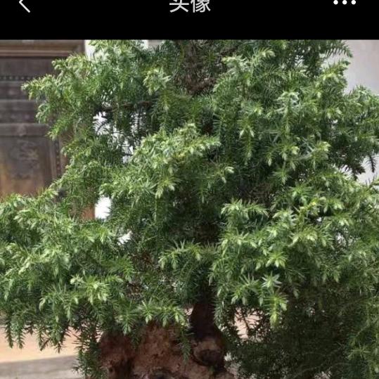 你怎样对我，我就怎样