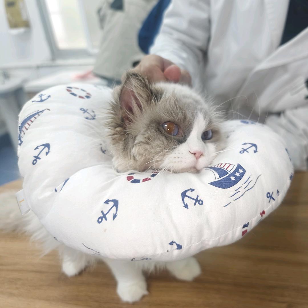 给孩子赚点医药费