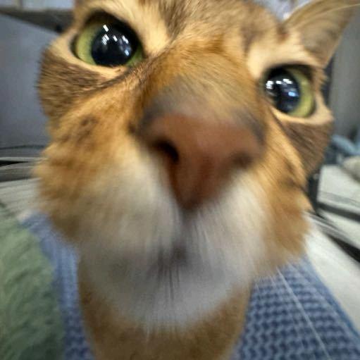 1080p