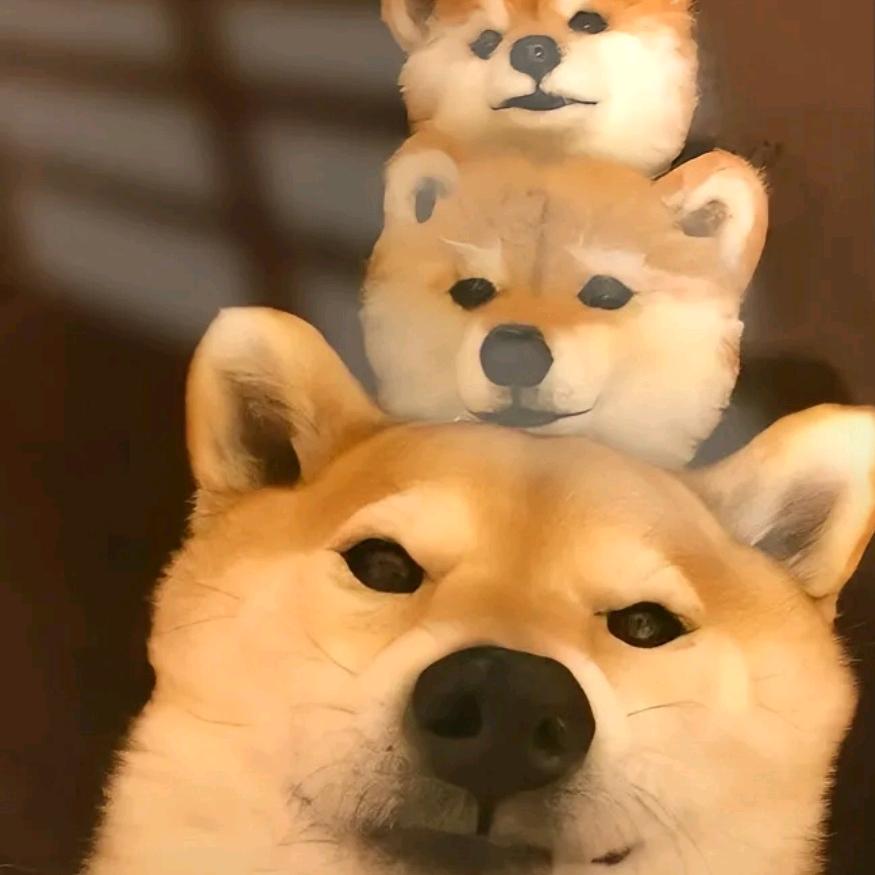 l～l～h