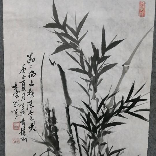 孤独的梧桐树