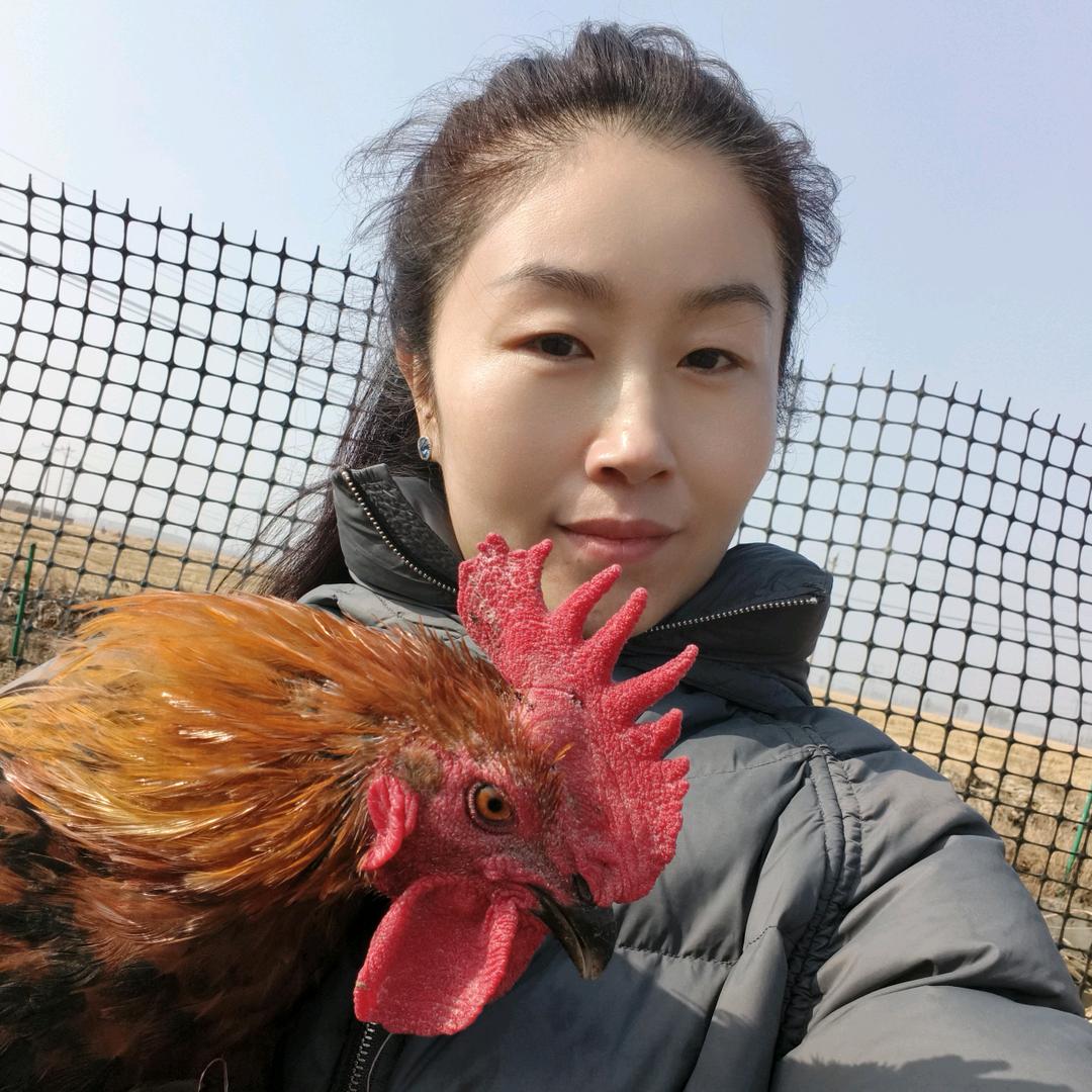 辽阳胖小溜达鸡农场