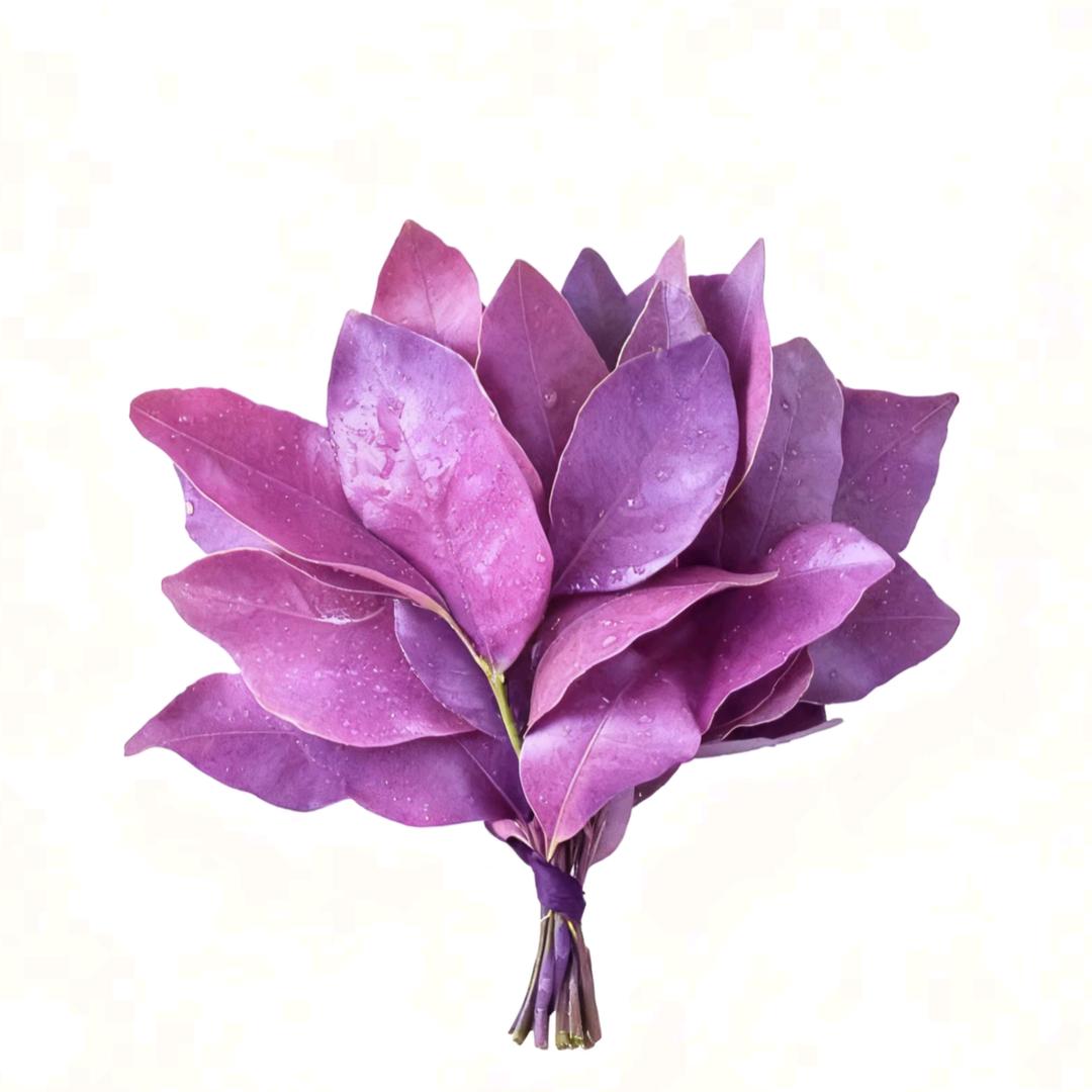 麦麦(≖ x ≖)