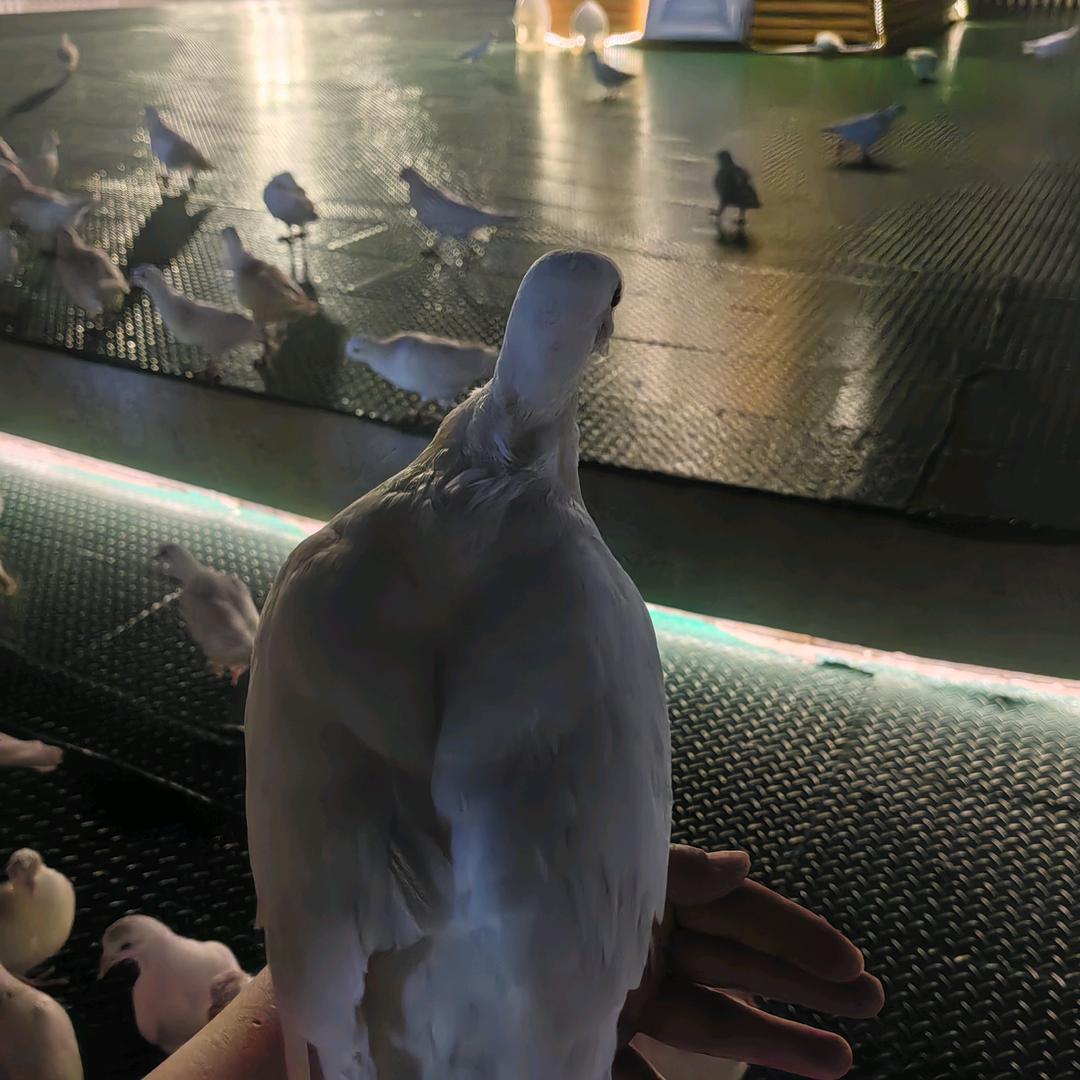 天天好开心