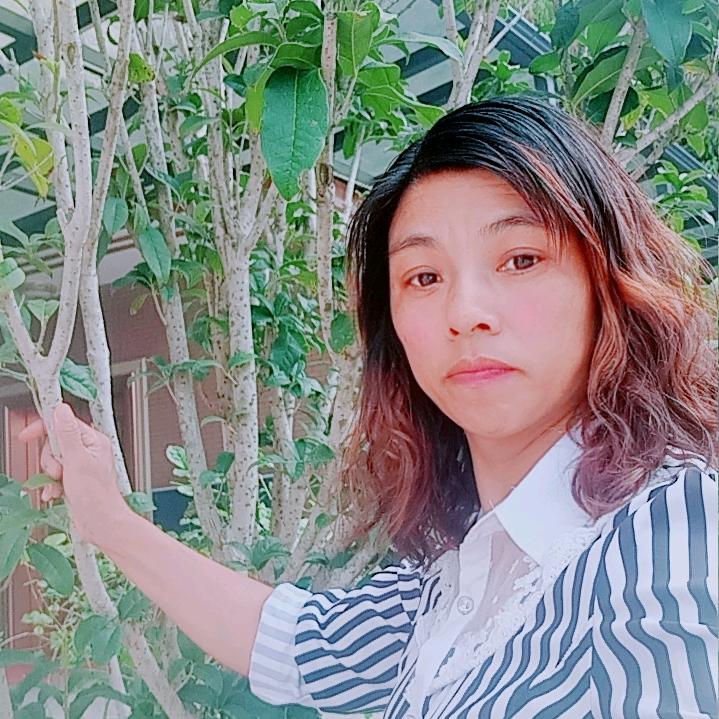 相遇是缘（凤姐）