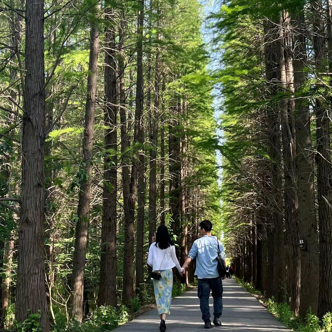 更加快乐的胖子