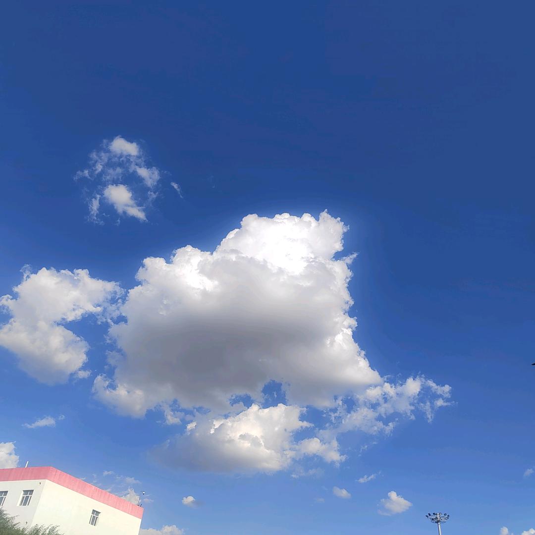 新疆云飞兄