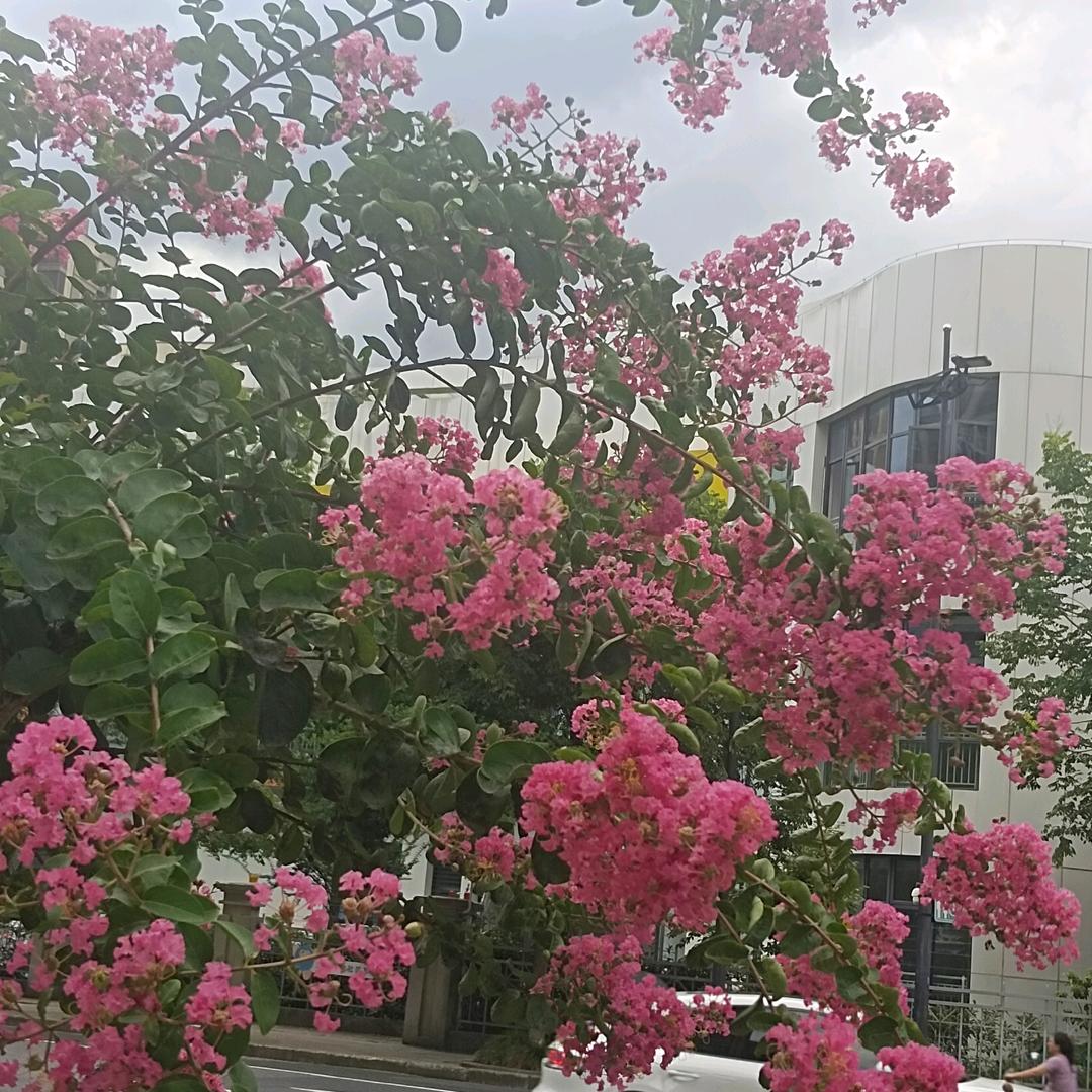 开心每一天，