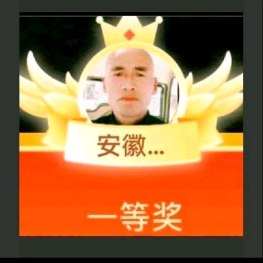 安徽大衣哥（游三317团队招人）