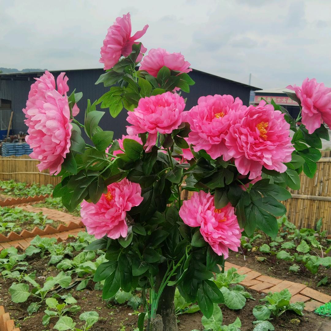 回头一看全是伤