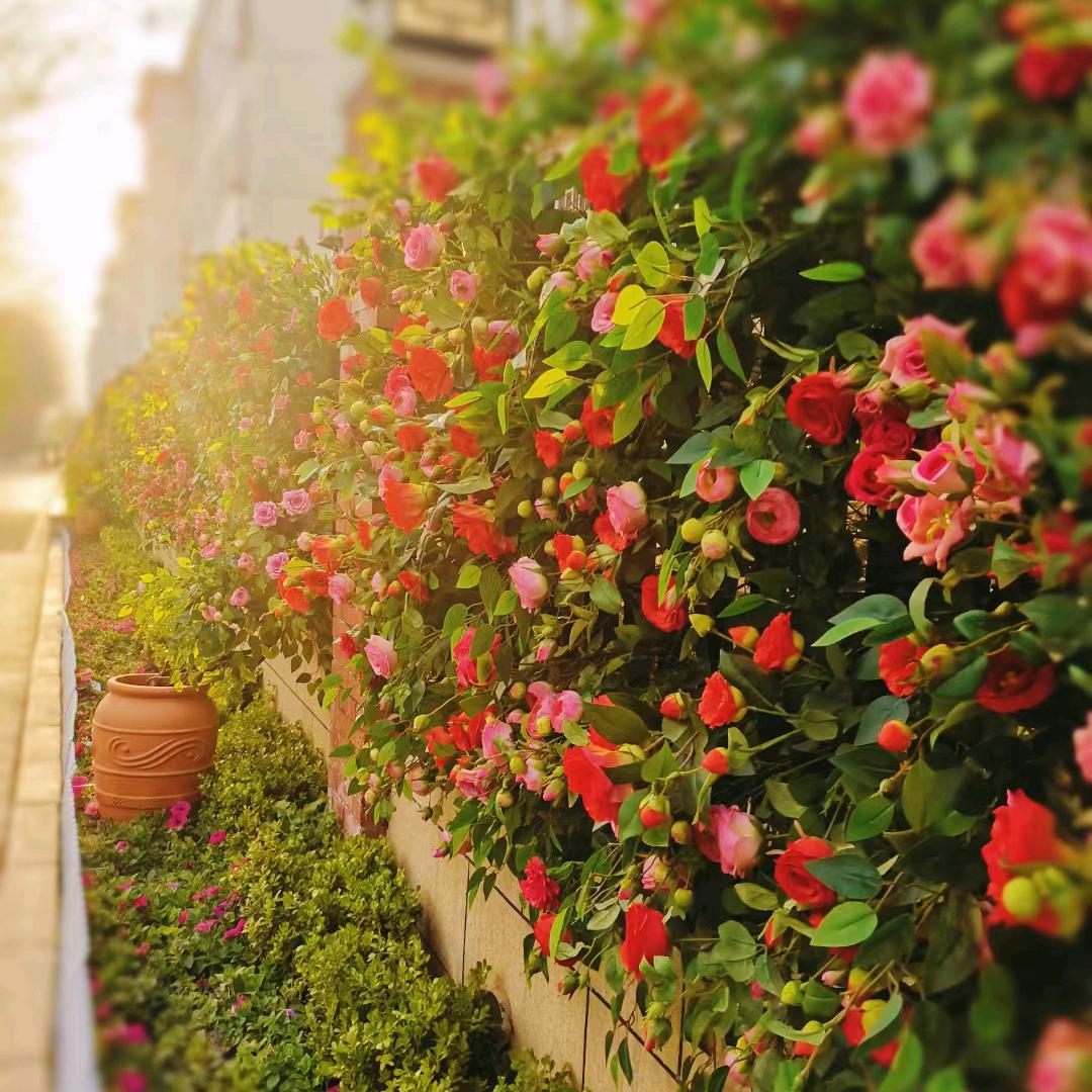 小张呀！🌼🌼🌼