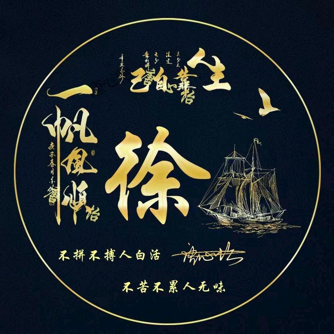 淡定驰飞