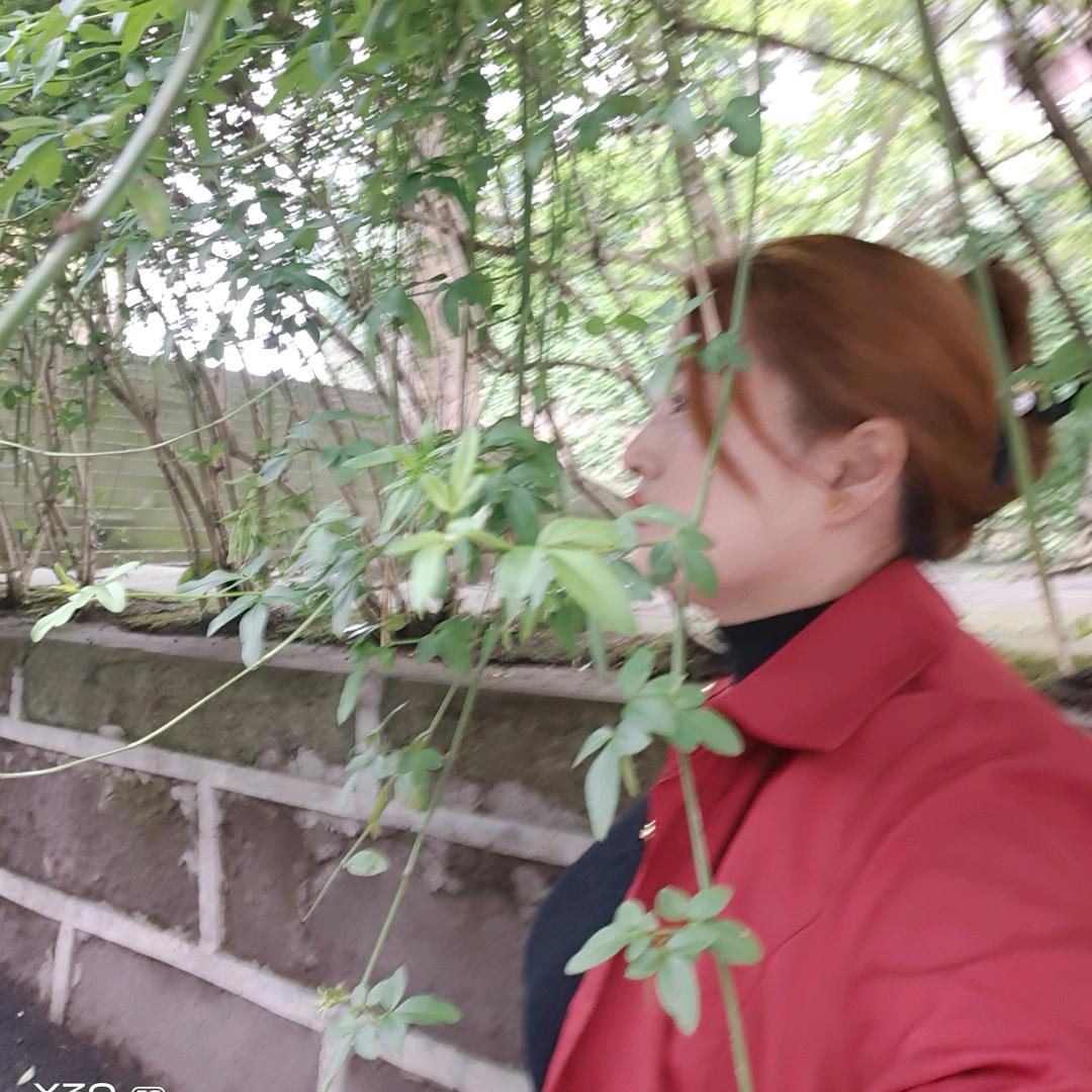 余生随心