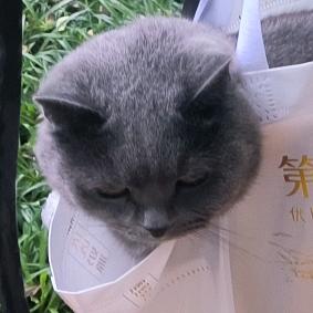 百密一疏