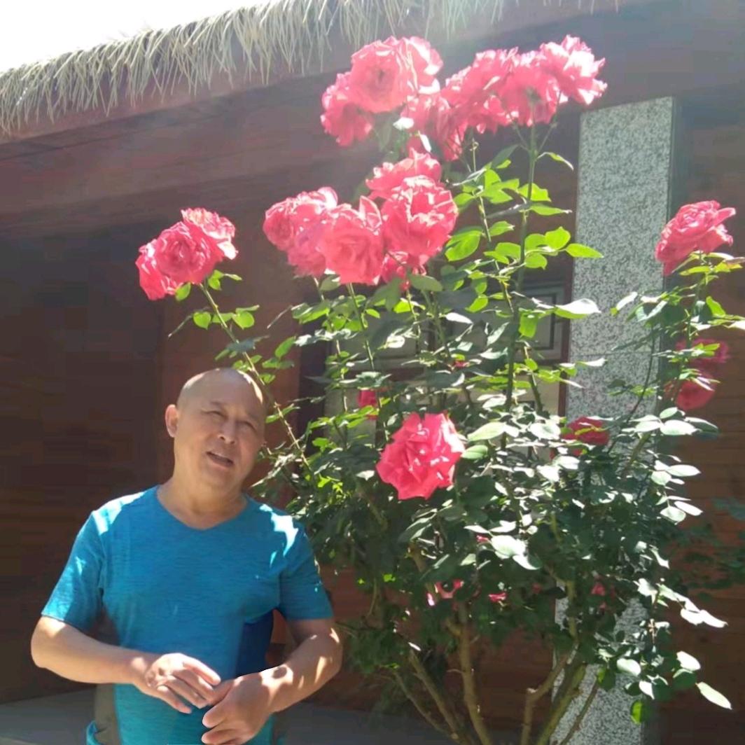 糊里糊涂