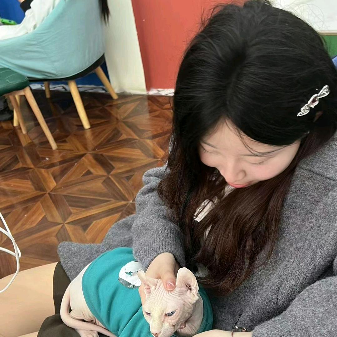 莓柿