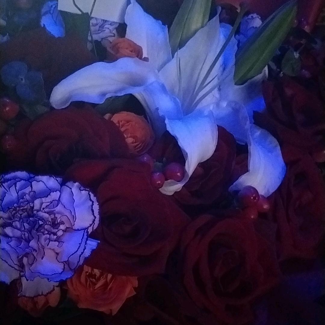 凉城予梦
