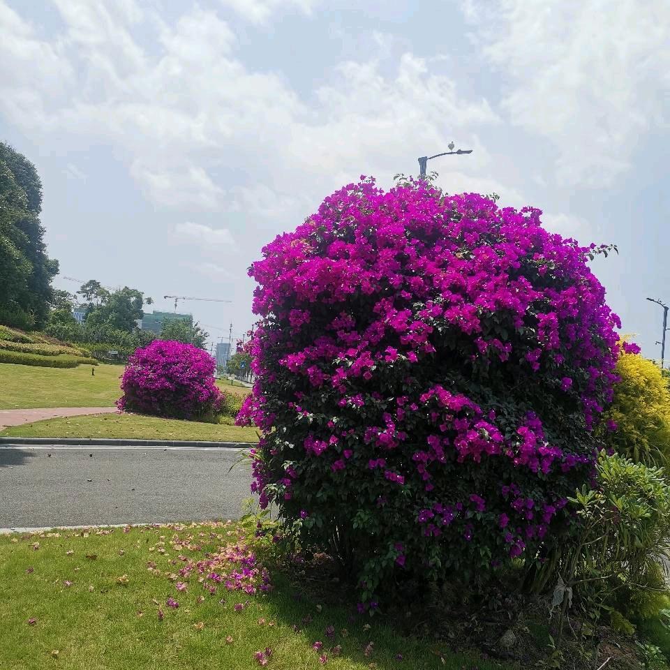 窦海山