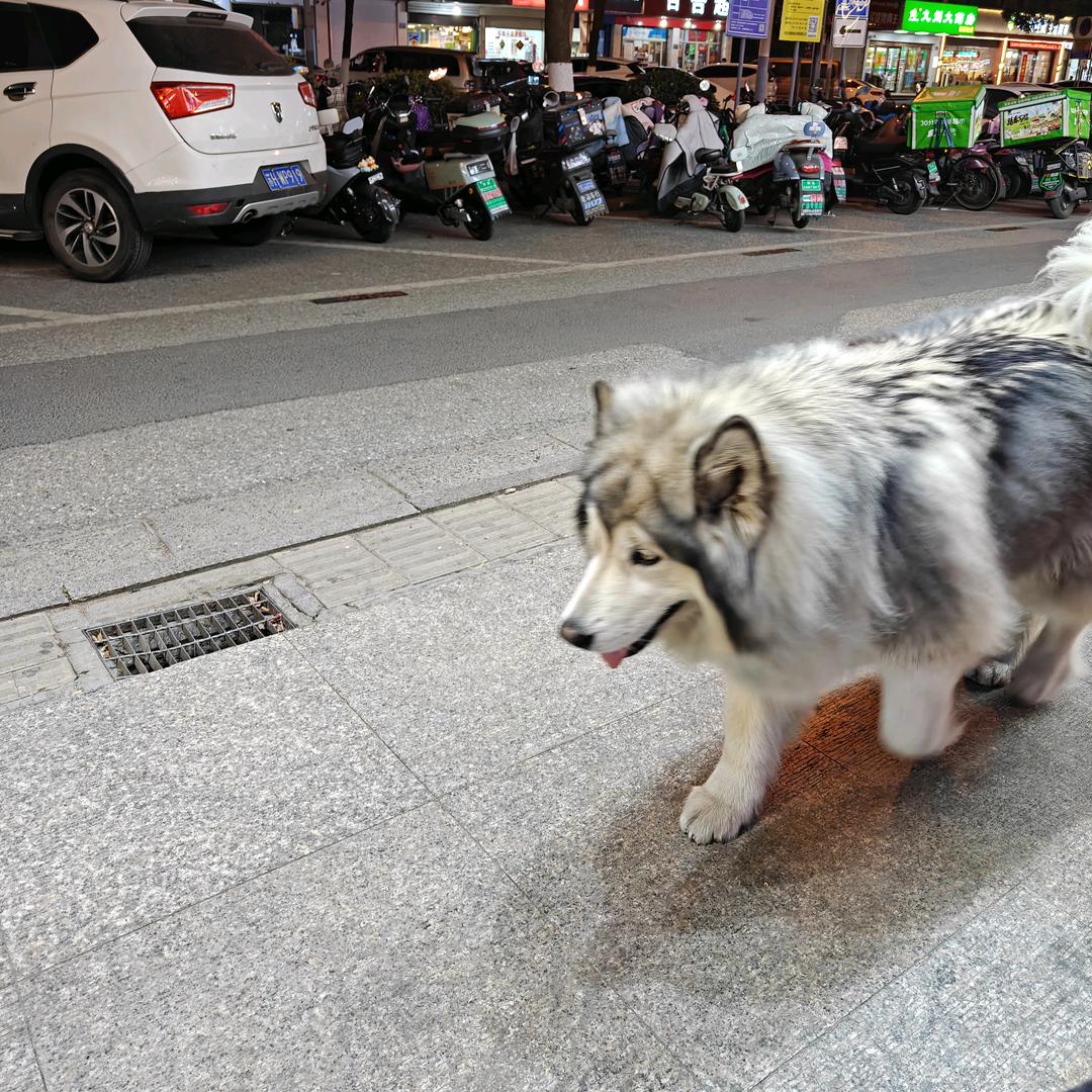 迷途少年✨