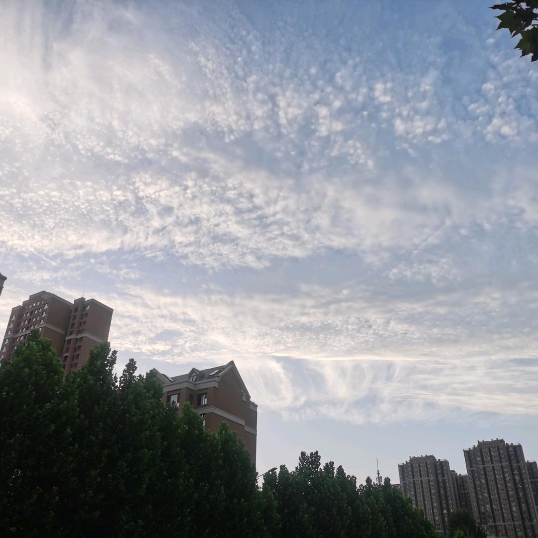 在水一方