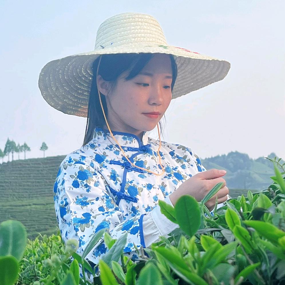 茶山阿妹霞霞