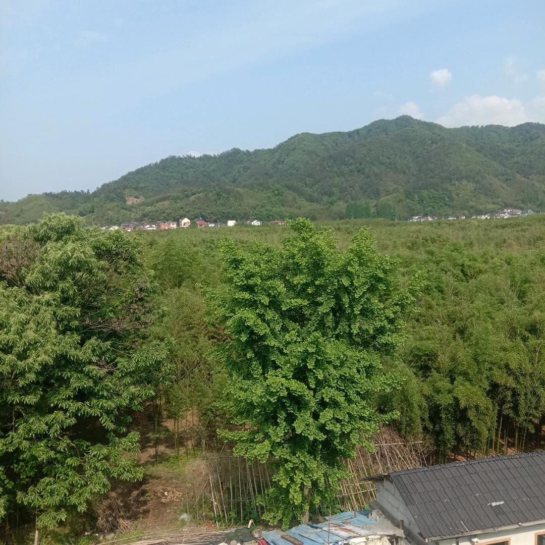 方向，必将激励全国各族人民在强国建设民族