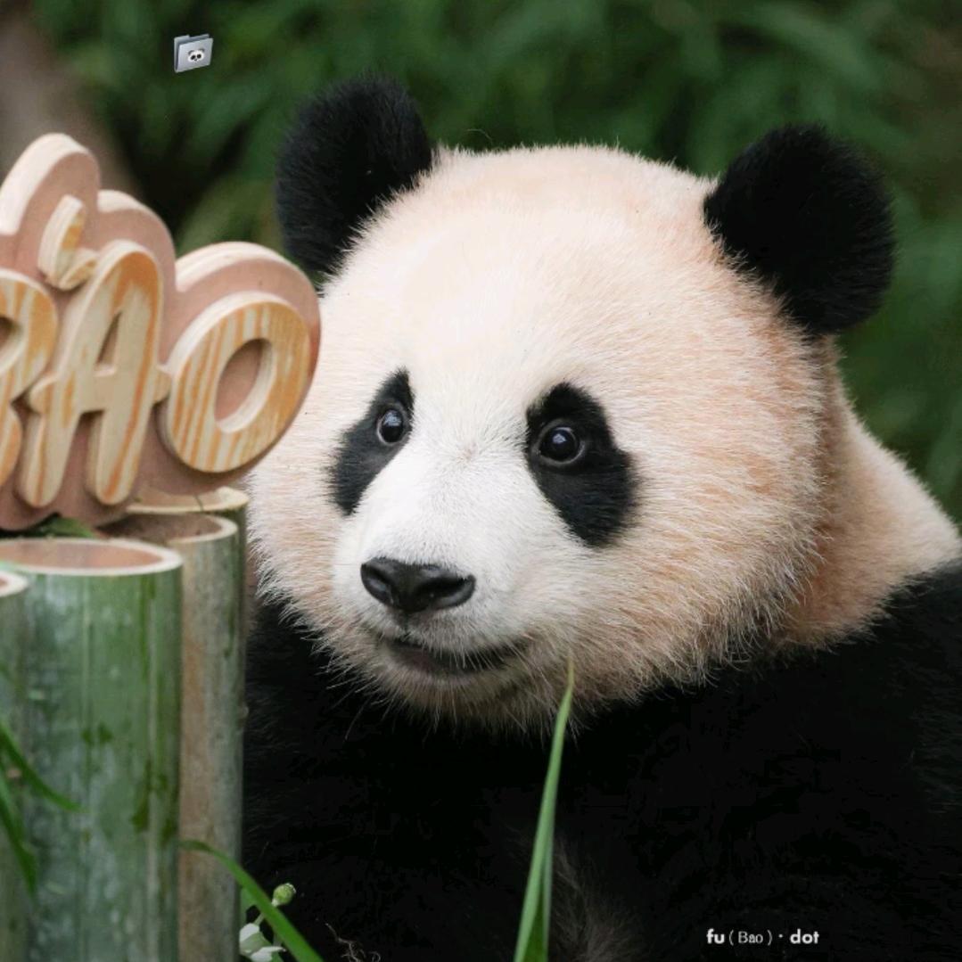 只剩下一串数字