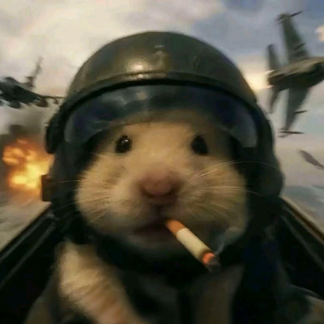 A航仔电竞（十元战神殿）