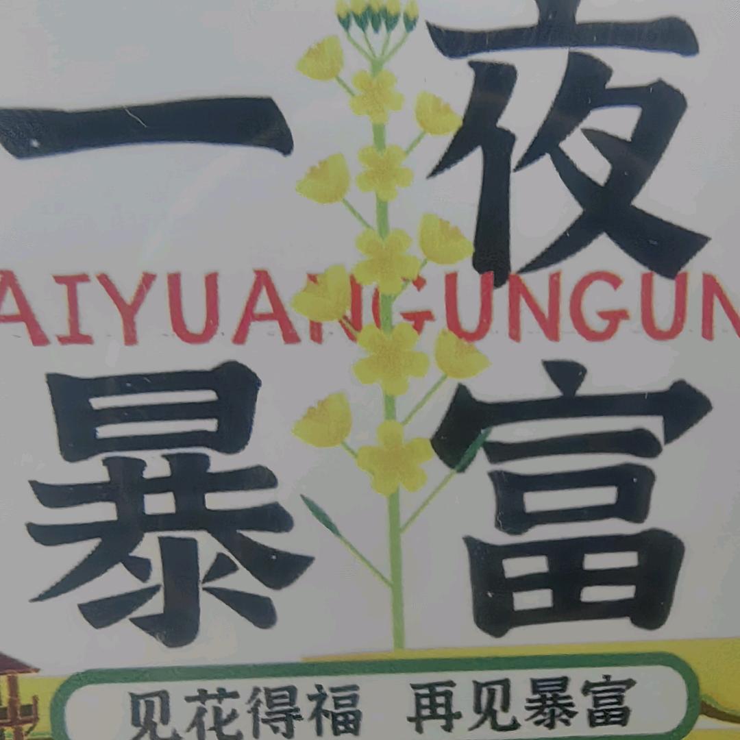 安装小弟