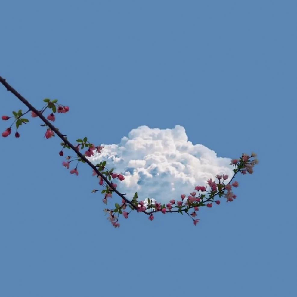 敏ㅤ    ㅤ