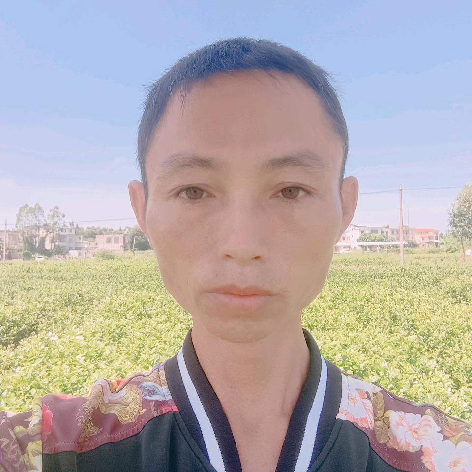 风雨彩虹