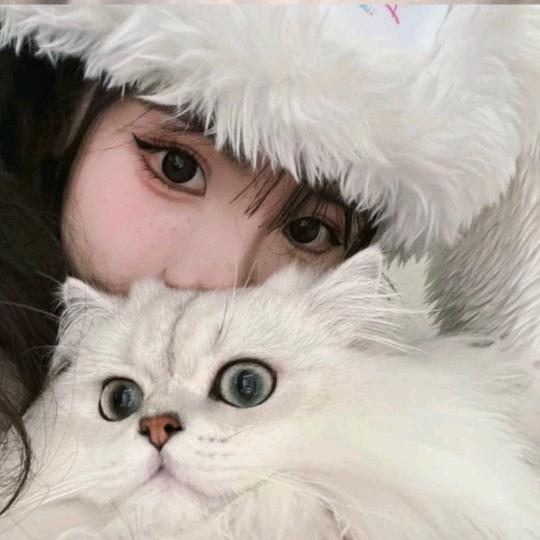 江渡.