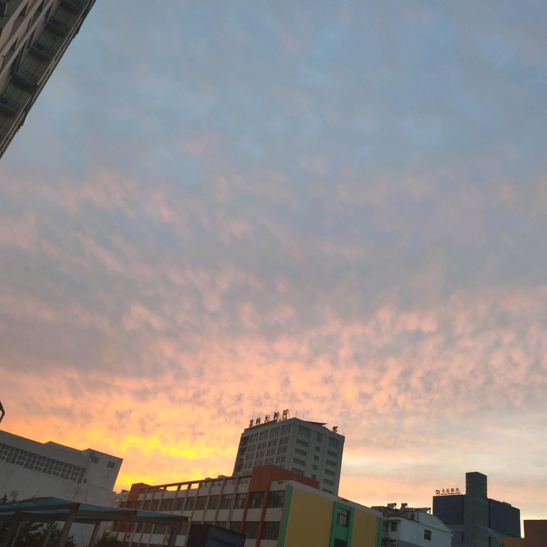 博闻数学王老师