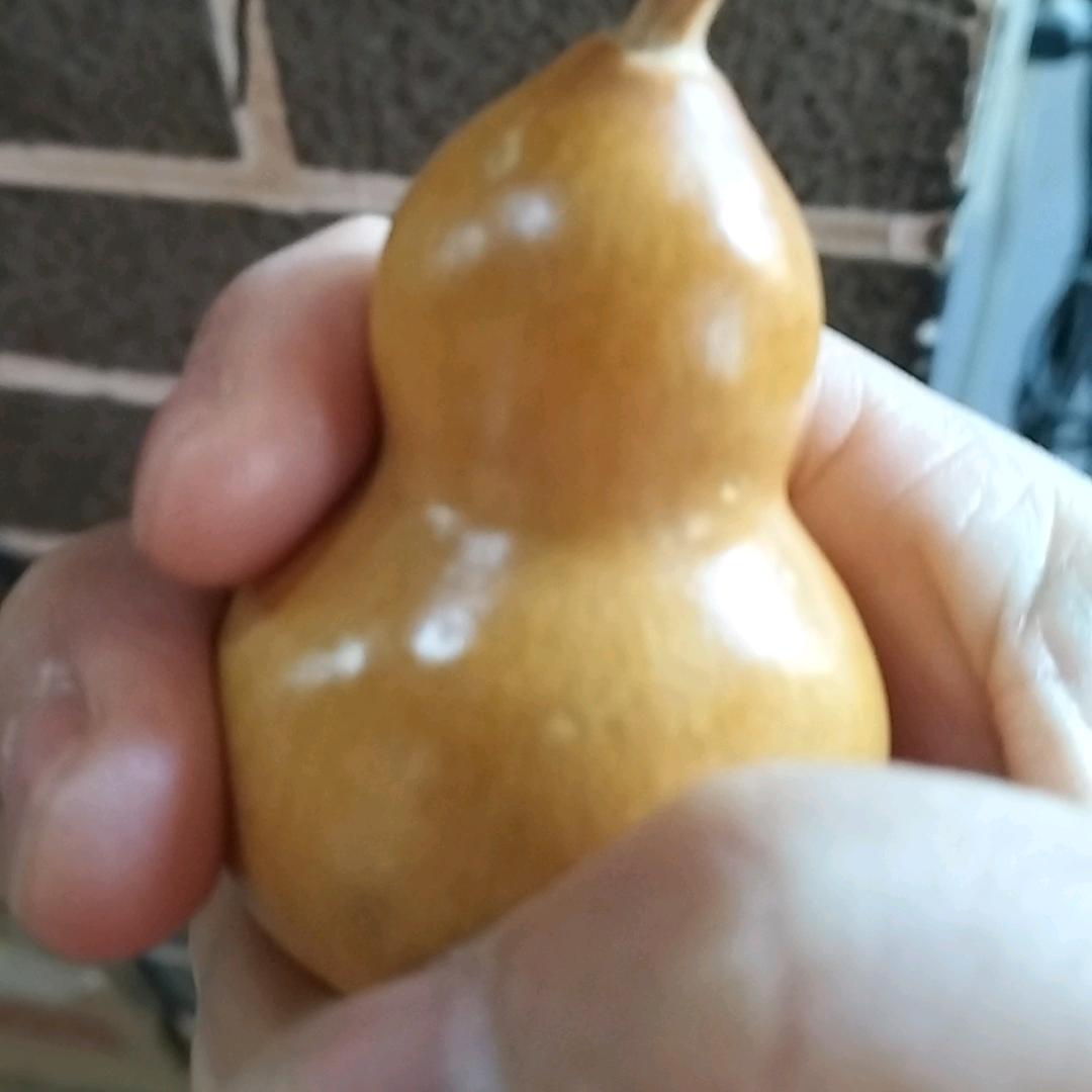 美丽的远方