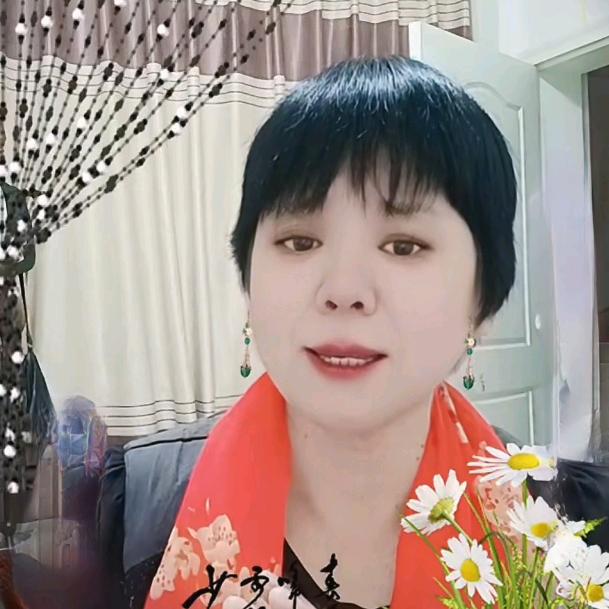 兰花（商品橱窗）