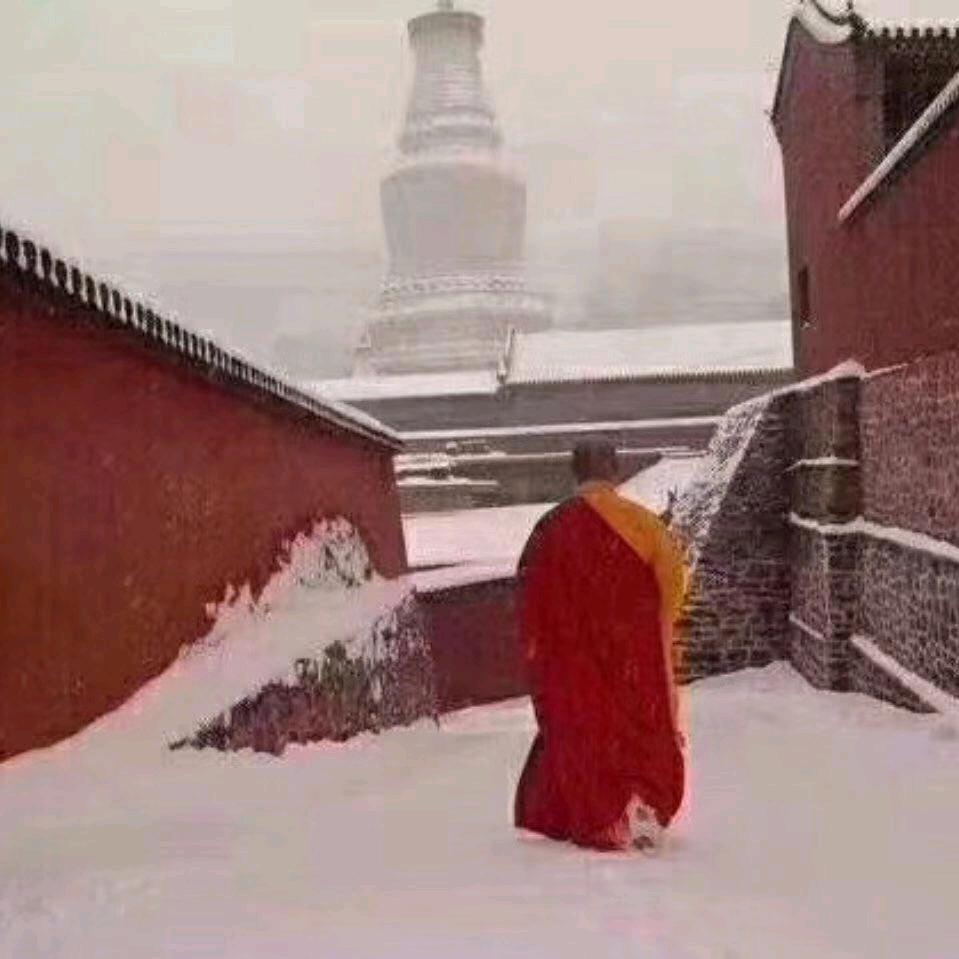 河南人在五台山（开民宿）