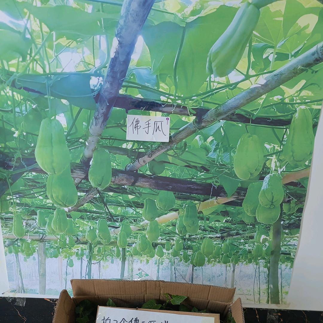 万颗园艺