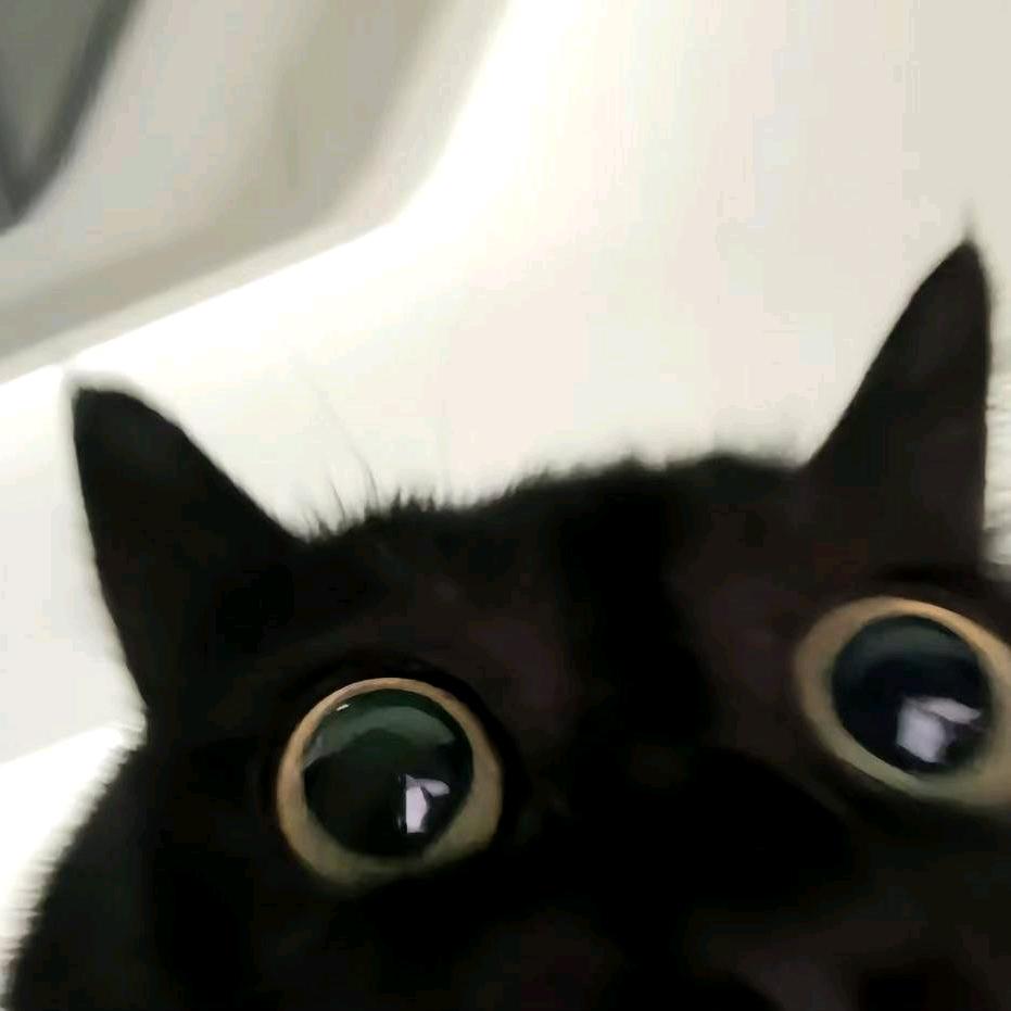 不会取名